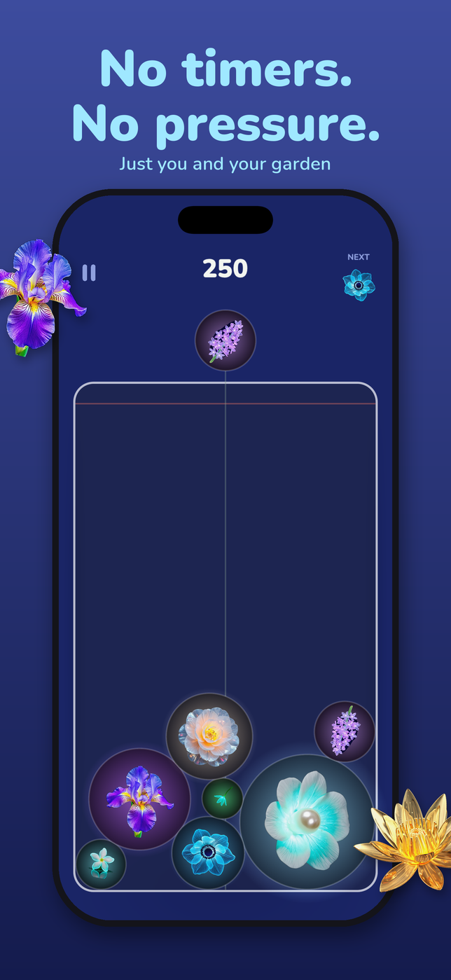 No timers, no pressure — the night theme in deep blue